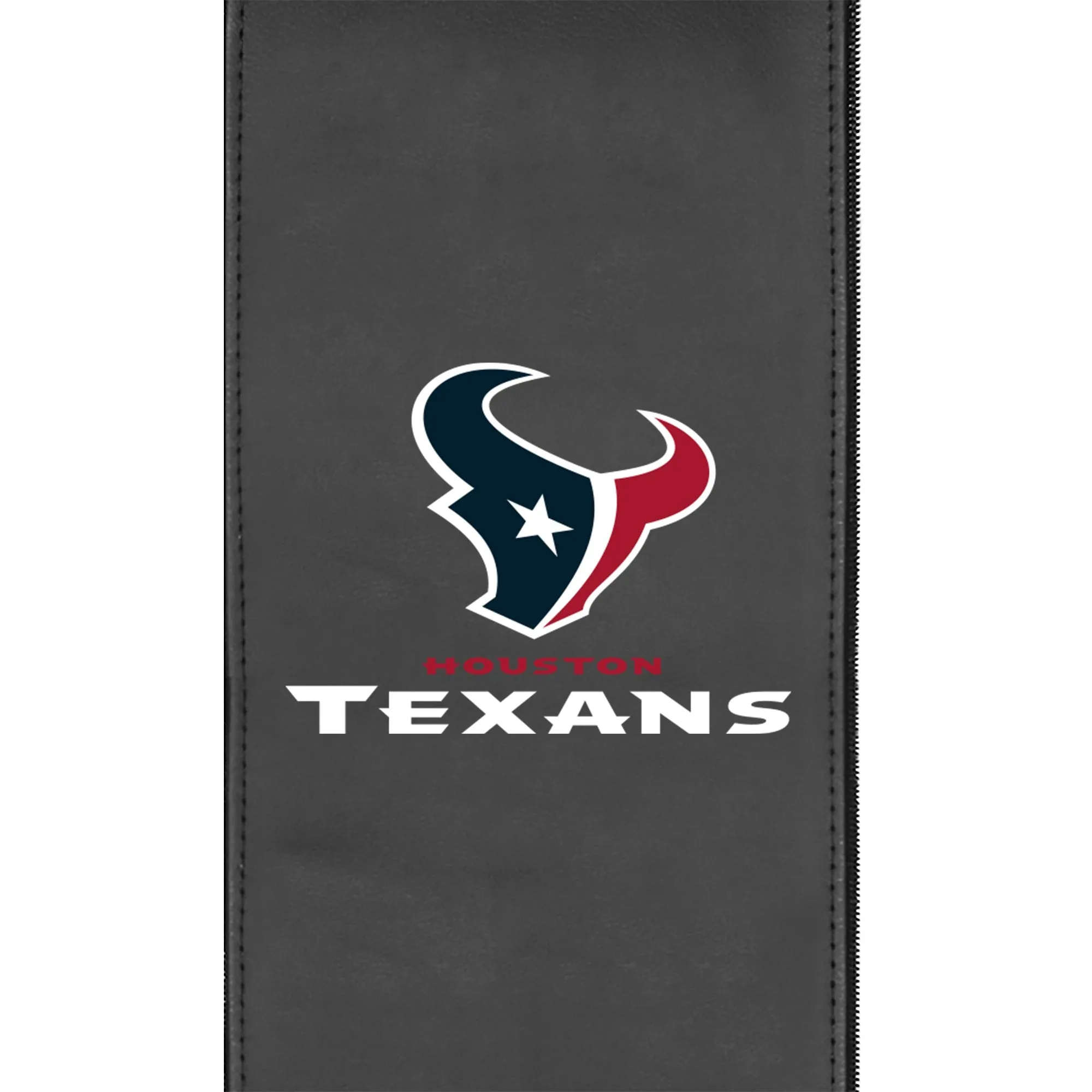Houston Texans Secondary Logo Panel