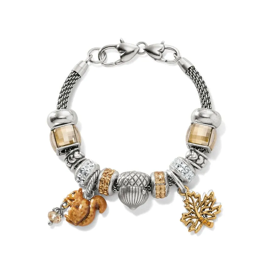 Squirrel Charm