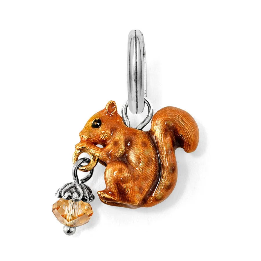 Squirrel Charm