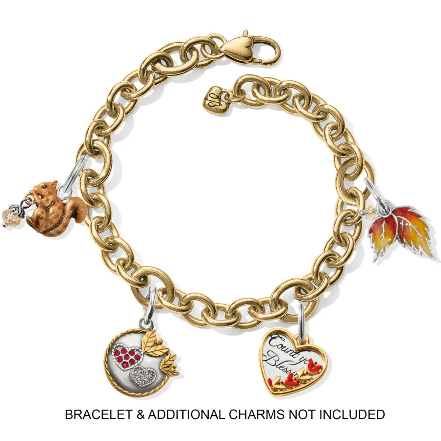 Squirrel Charm