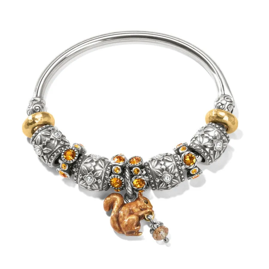 Squirrel Charm